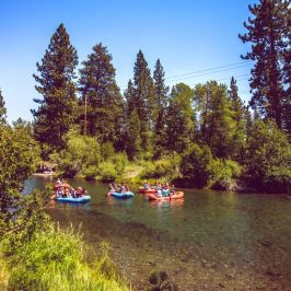 a group of people on a boat in the forest