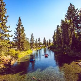 a body of water surrounded by trees