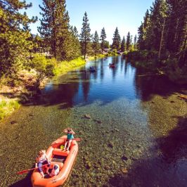 a group of palm trees on the side of a lake
