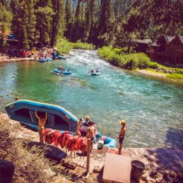 a group of people on a raft in a forest