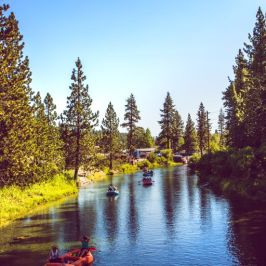 a group of people in a body of water surrounded by trees